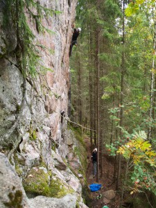 Rami näyttää karahongalle kuka on pomo, L-P 7a